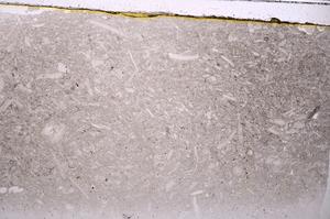 Plane Polarized, E41685