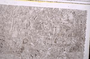 Plane Polarized, E41688