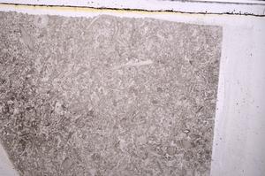 Plane Polarized, E41689