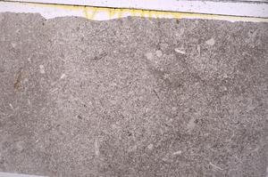 Plane Polarized, E41690