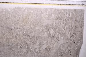 Plane Polarized, E41691