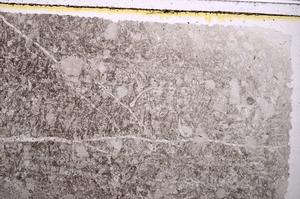 Plane Polarized, E41694