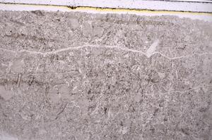 Plane Polarized, E41695
