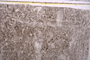 Plane Polarized, E41698