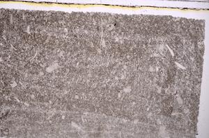 Plane Polarized, E41699