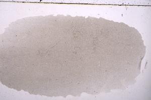 Plane Polarized, E41704/A