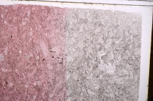 Plane Polarized, E41724