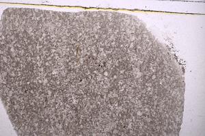 Plane Polarized, E41725