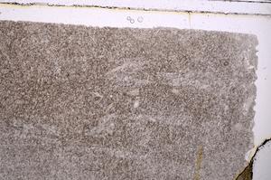 Plane Polarized, E41726