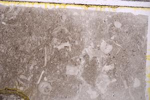 Plane Polarized, E41732