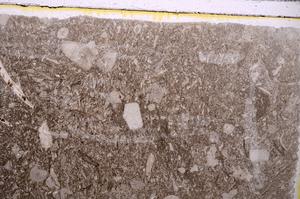 Plane Polarized, E41733