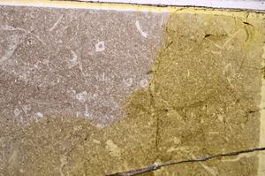 Plane Polarized, E41739