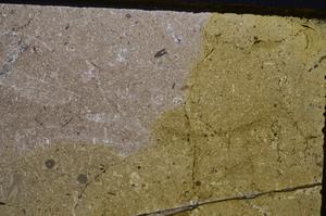 Cross Polarized, E41739