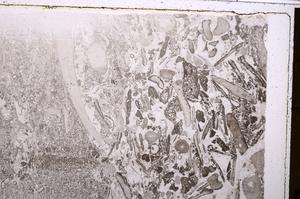 Plane Polarized, E41746