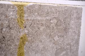 Plane Polarized, E41749