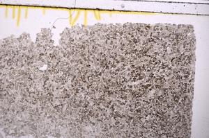 Plane Polarized, E41753