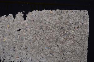 Cross Polarized, E41753