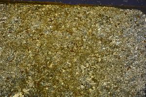 Cross Polarized, E41753/A