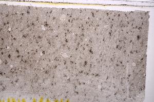 Plane Polarized, E41755