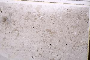 Plane Polarized, E41757