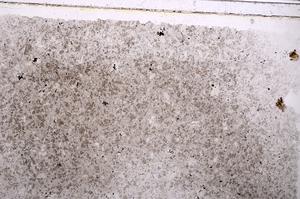 Plane Polarized, E41760