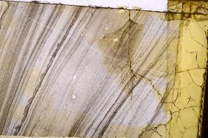 Plane Polarized, E41761