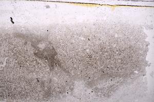 Plane Polarized, E41765