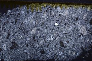 Cross Polarized, E41771