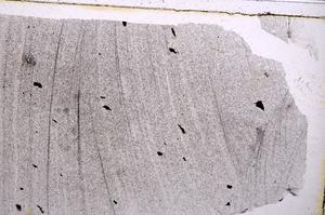 Plane Polarized, E41772