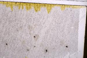 Plane Polarized, E41773