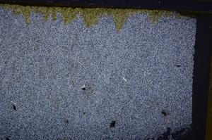 Cross Polarized, E41773