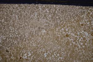 Cross Polarized, E41785