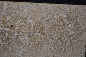 Cross Polarized, E41801