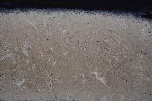 Cross Polarized, E41805