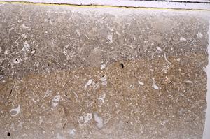 Plane Polarized, E41806