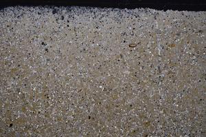 Cross Polarized, E41815