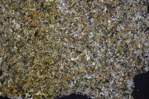 Cross Polarized, E41841