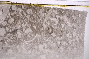 Plane Polarized, E41842