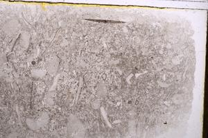 Plane Polarized, E41844