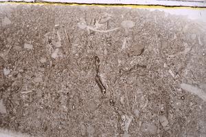 Plane Polarized, E41846