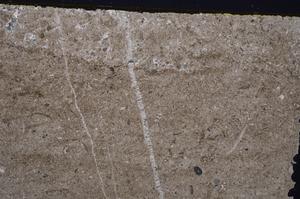 Cross Polarized, E41852