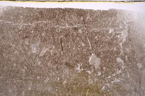 Plane Polarized, E41853
