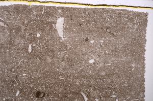 Plane Polarized, E41854