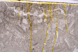 Plane Polarized, E41857