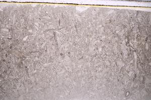 Plane Polarized, E41861