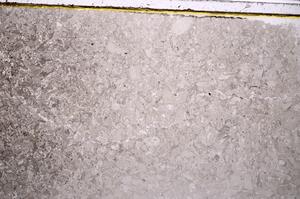Plane Polarized, E41863