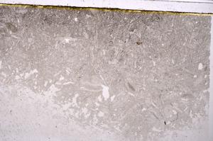 Plane Polarized, E41864