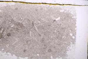 Plane Polarized, E41866