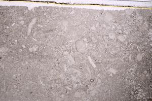 Plane Polarized, E41867