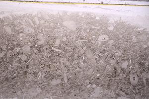 Plane Polarized, E41869
